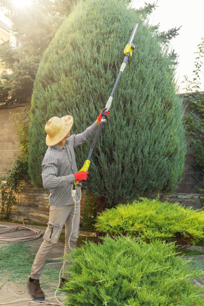 Best Lawn Irrigation Installation and Maintenance  in Horace, ND